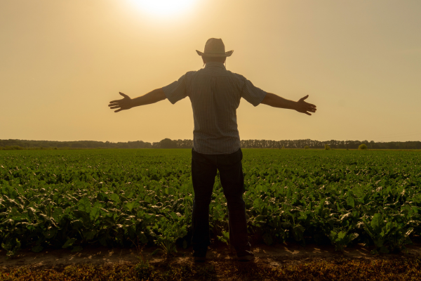 Aposentadoria Rural: Como Garantir seu Direito