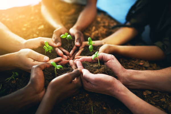 Desenvolvimento Sustentável: O Caminho para um Futuro Melhor