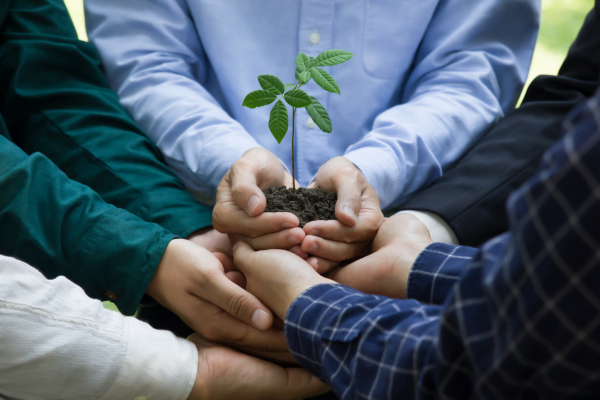 Sustentabilidade Ambiental: Um Caminho para o Futuro